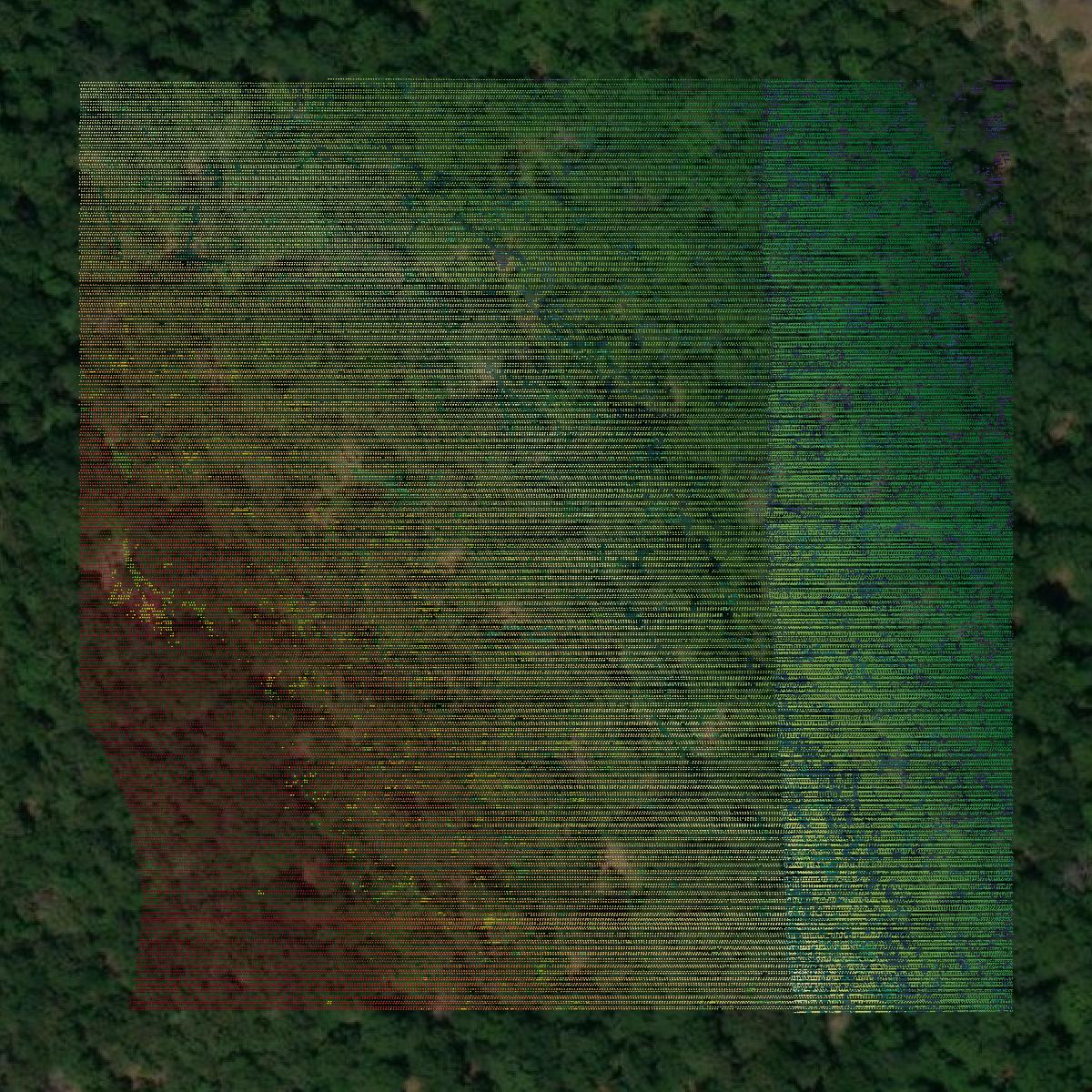 This image shows a LiDAR point cloud in Mayes County created using GIS data in Equator.