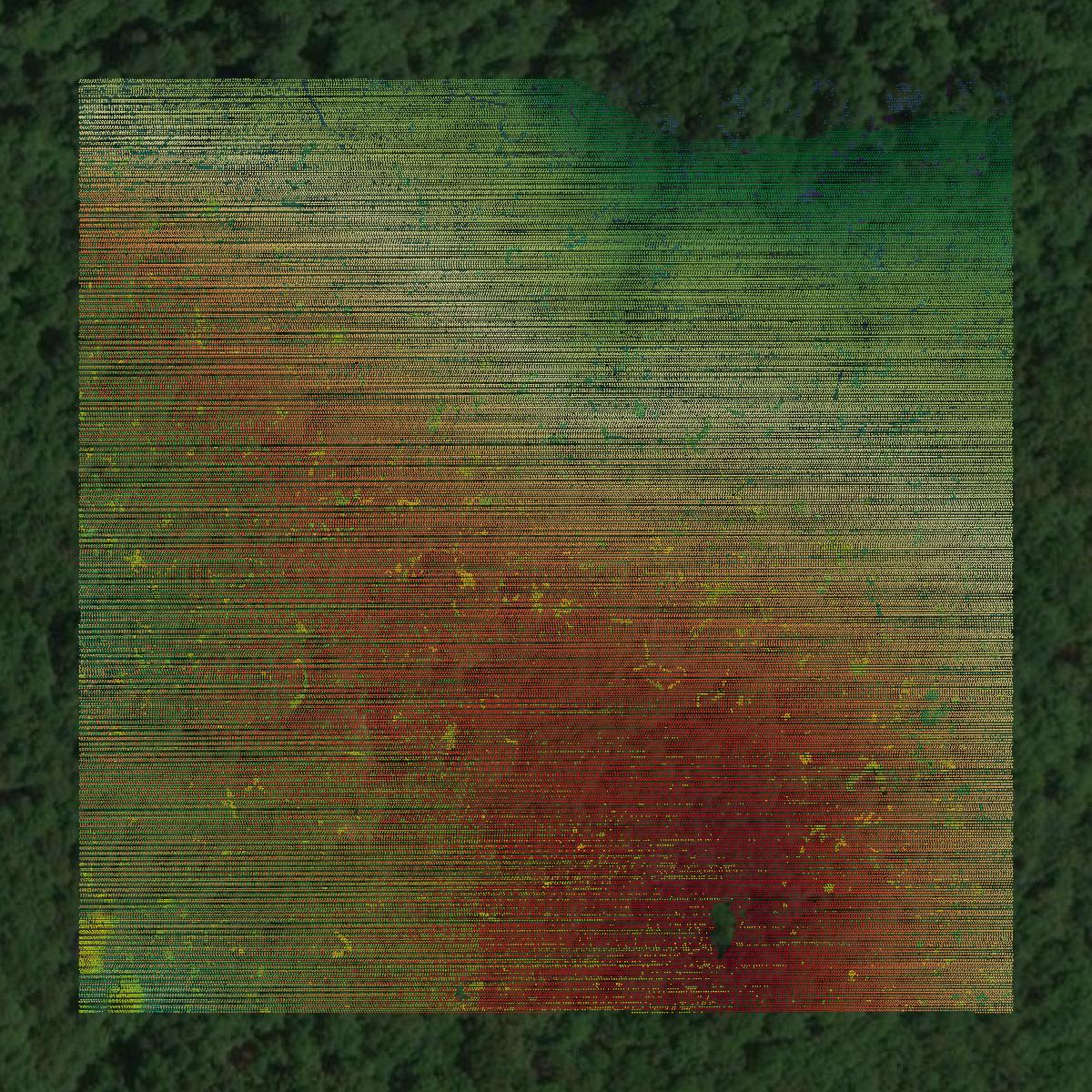 This image shows a LiDAR point cloud in Mayes County created using GIS data in Equator.