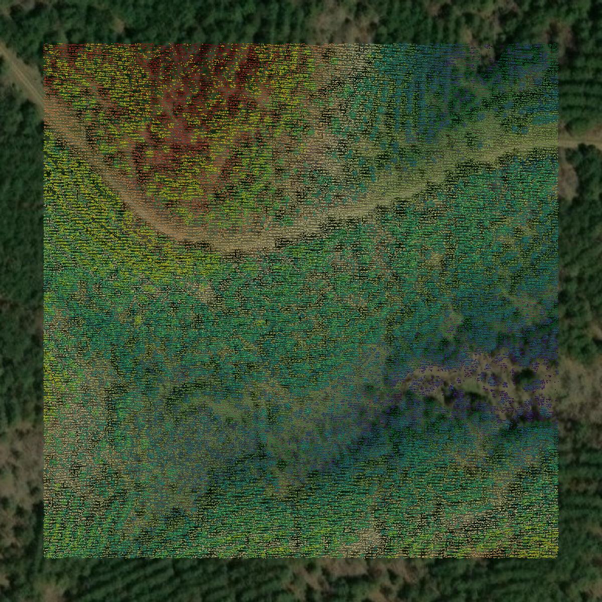 This image shows a LiDAR point cloud in McCurtain County created using GIS data in Equator.
