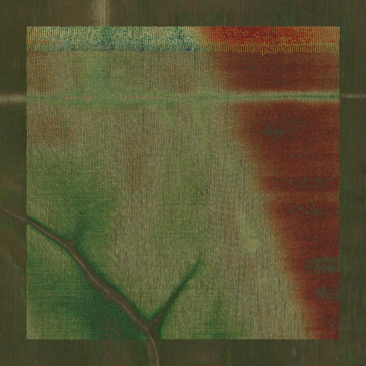 This image shows a LiDAR point cloud in McCurtain County created using GIS data in Equator.