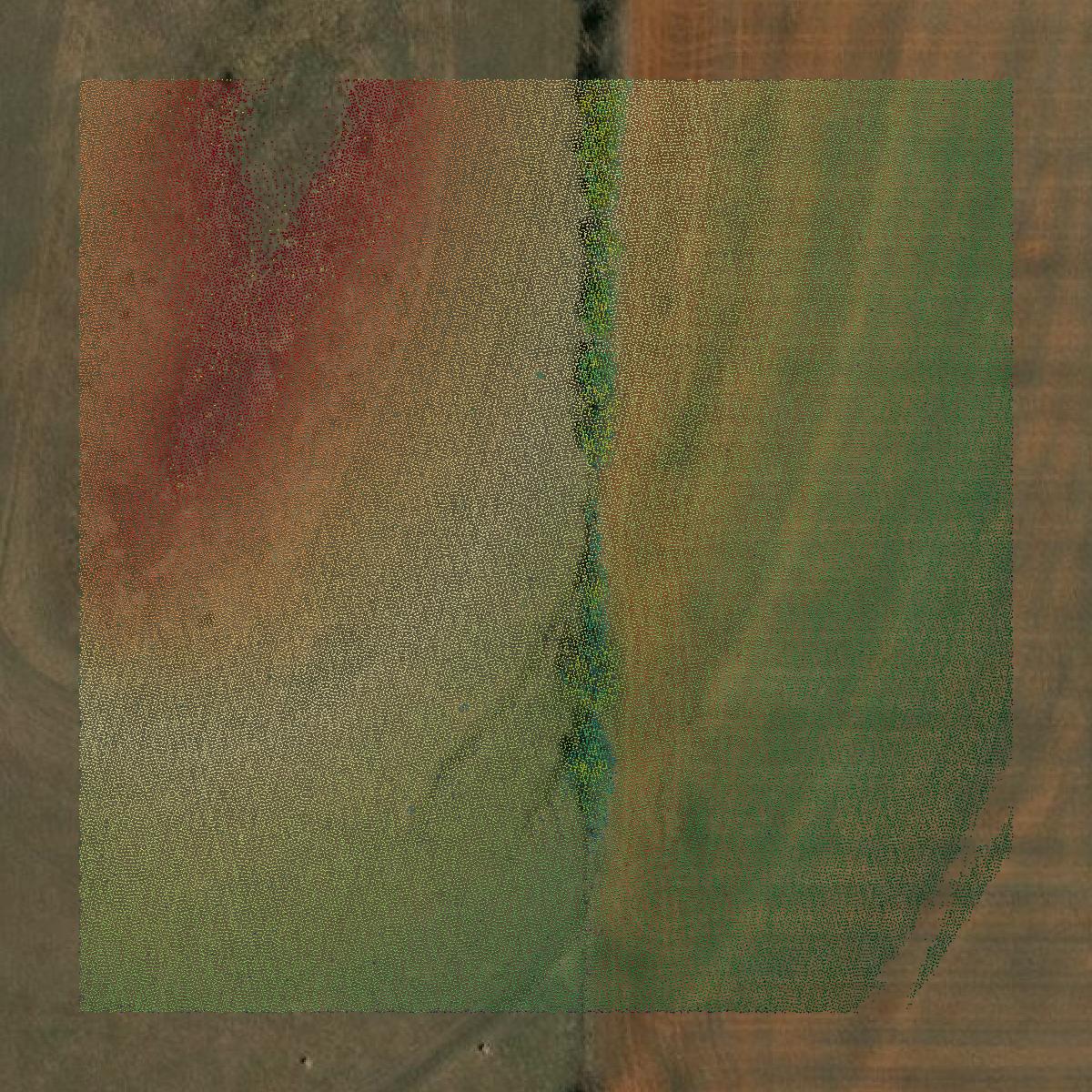 This image shows a LiDAR point cloud in Noble County created using GIS data in Equator.