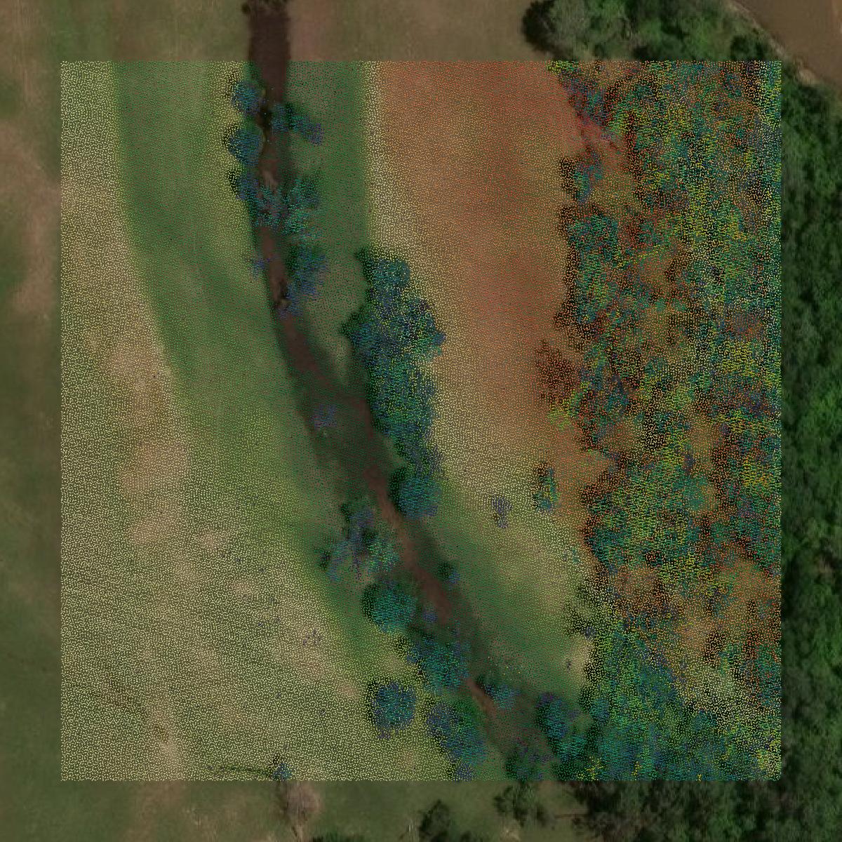 This image shows a LiDAR point cloud in Okfuskee County created using GIS data in Equator.