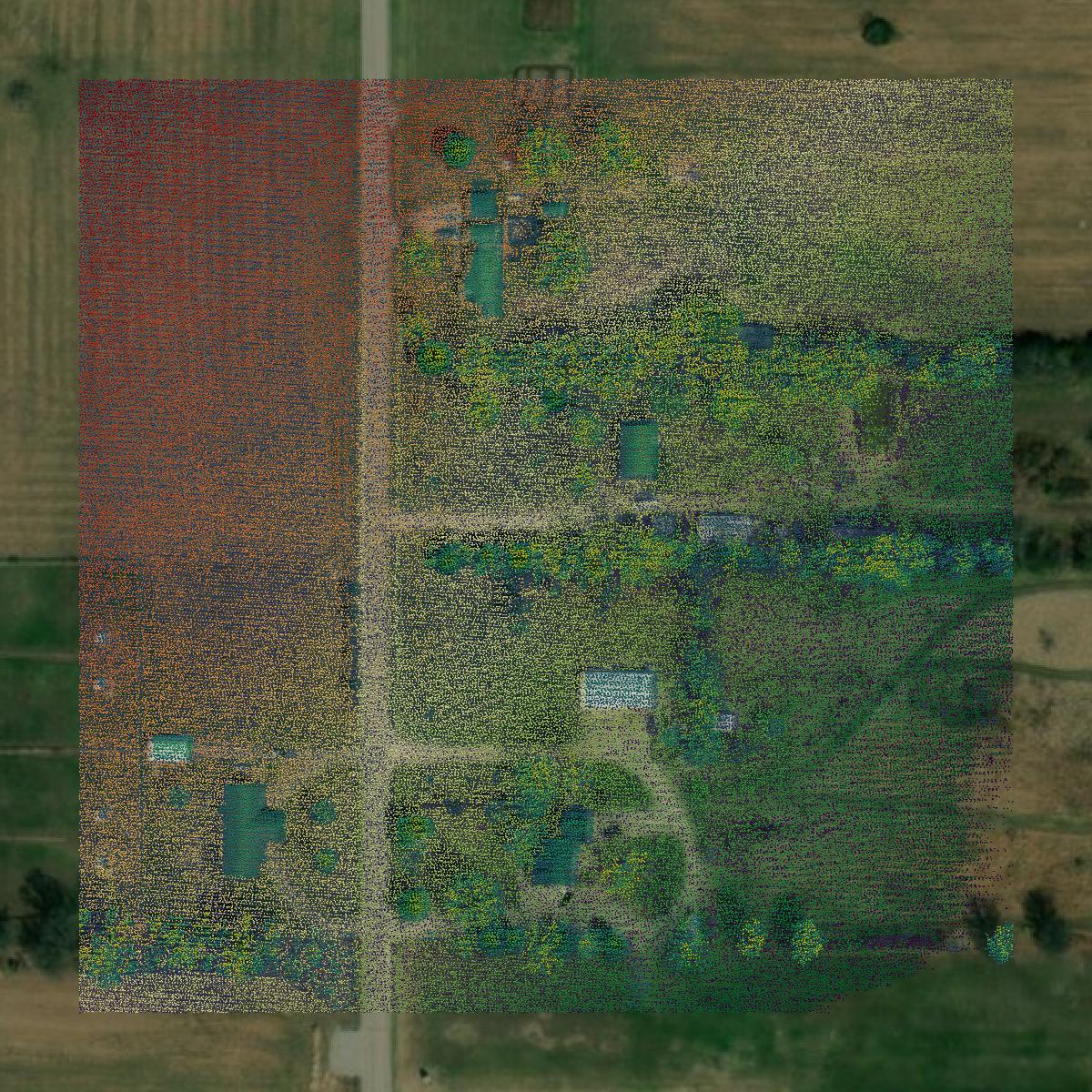 This image shows a LiDAR point cloud in Ottawa County created using GIS data in Equator.