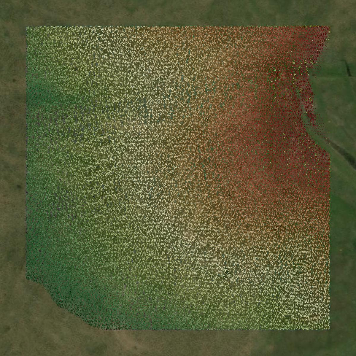 This image shows a LiDAR point cloud in Pawnee County created using GIS data in Equator.