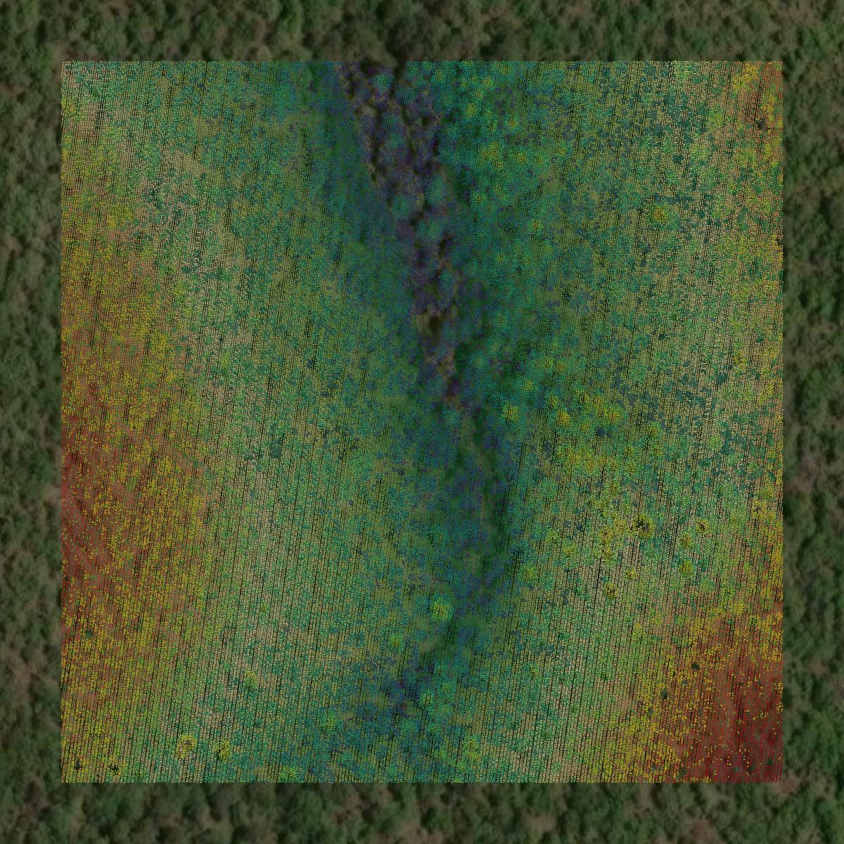 This image shows a LiDAR point cloud in Pittsburg County created using GIS data in Equator.