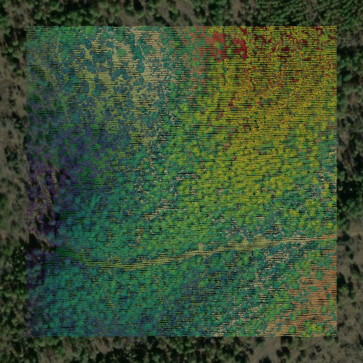 This image shows a LiDAR point cloud in Pushmataha County created using GIS data in Equator.