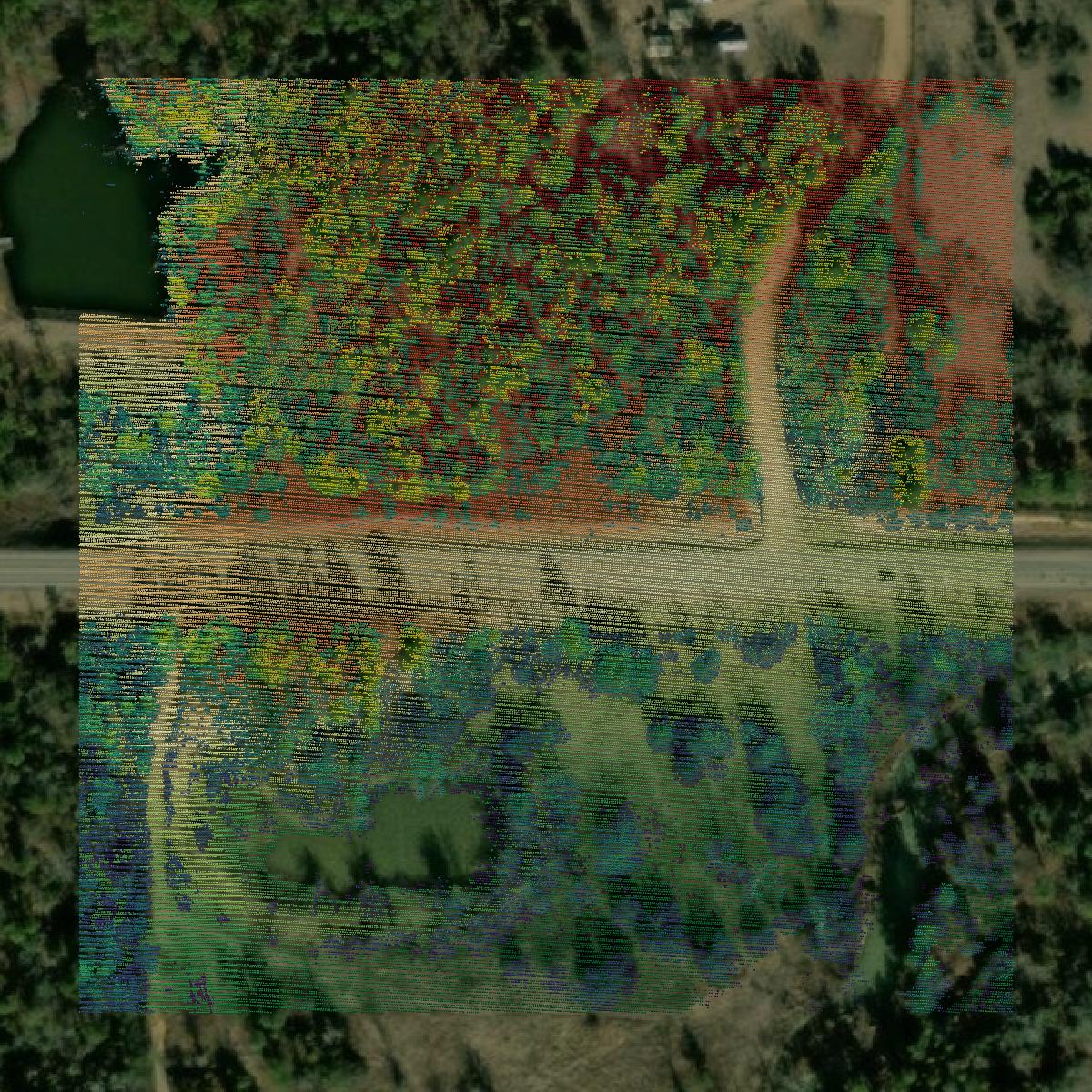 This image shows a LiDAR point cloud in Pushmataha County created using GIS data in Equator.