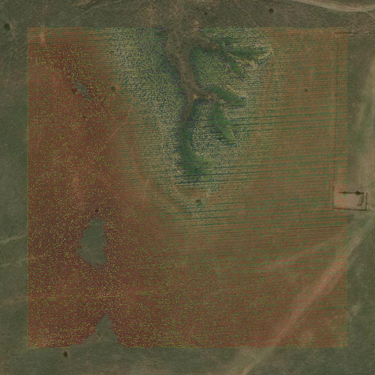 This image shows a LiDAR point cloud in Roger Mills County created using GIS data in Equator.