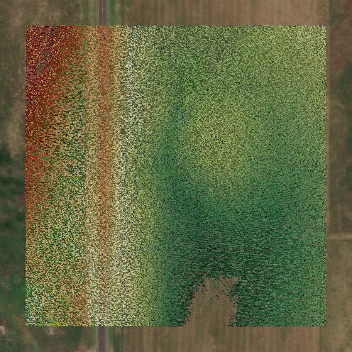 This image shows a LiDAR point cloud in Roger Mills County created using GIS data in Equator.