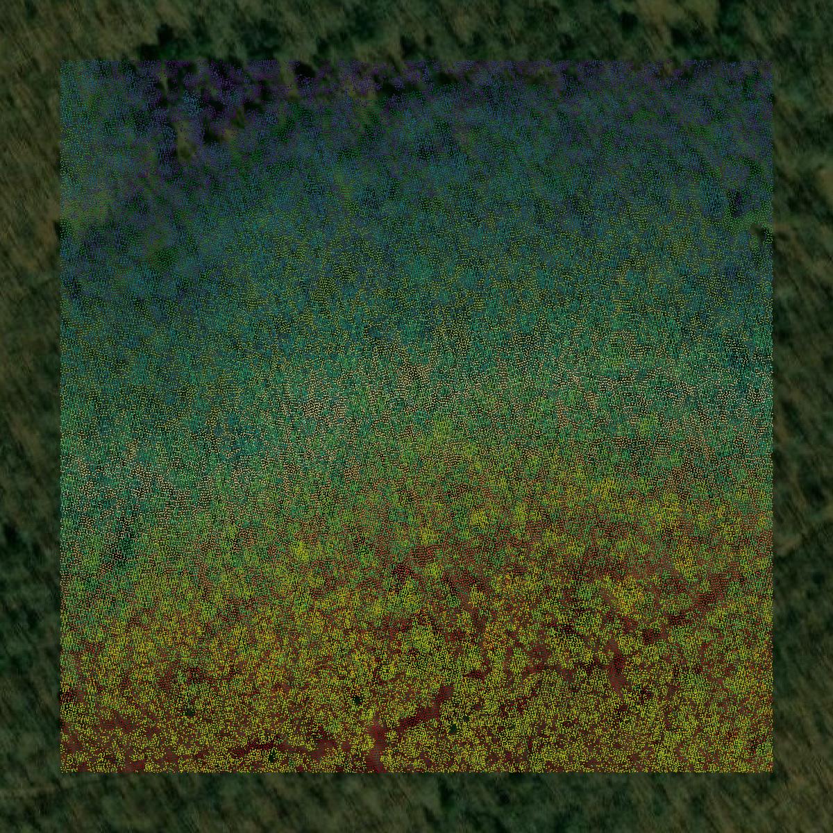 This image shows a LiDAR point cloud in Sequoyah County created using GIS data in Equator.