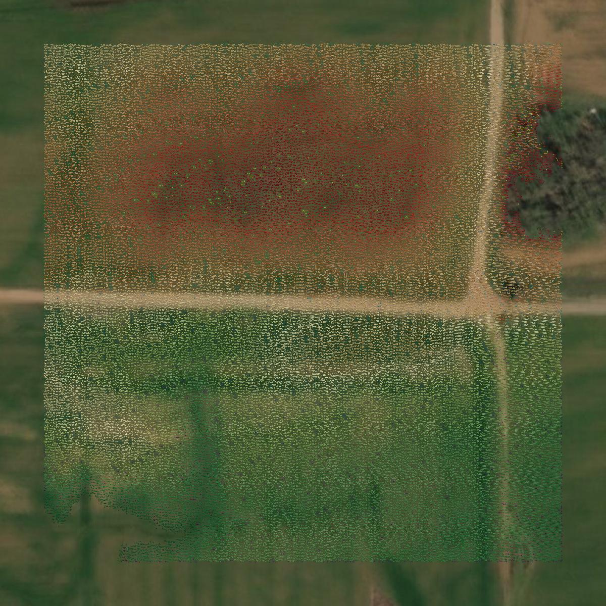This image shows a LiDAR point cloud in Sequoyah County created using GIS data in Equator.