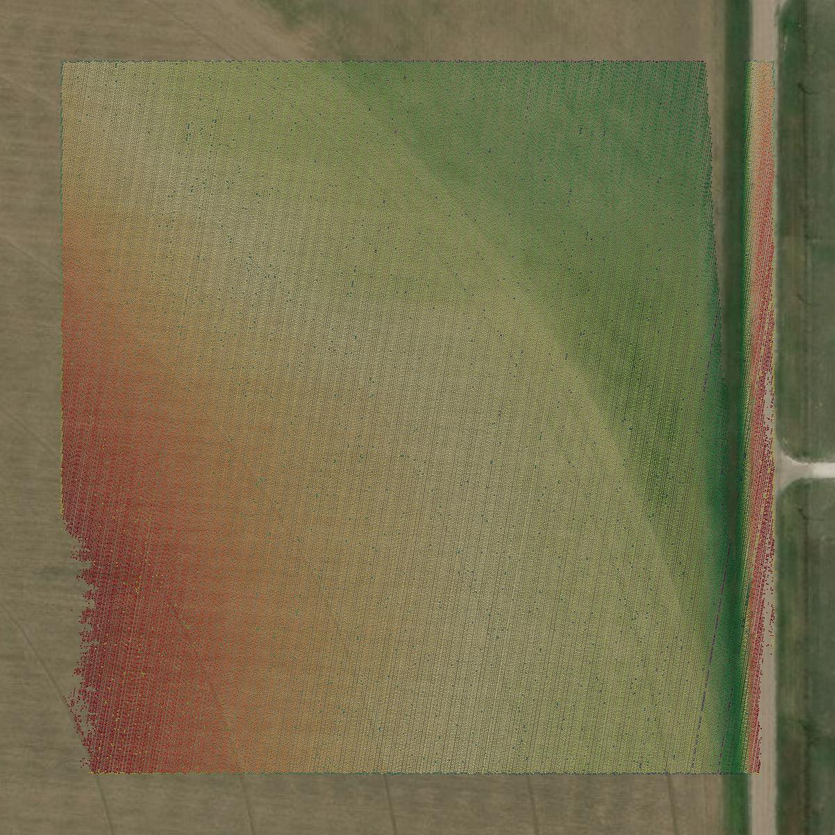 This image shows a LiDAR point cloud in Texas County created using GIS data in Equator.