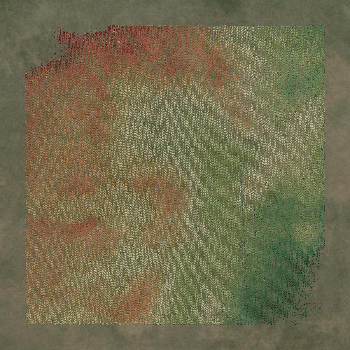 This image shows a LiDAR point cloud in Texas County created using GIS data in Equator.
