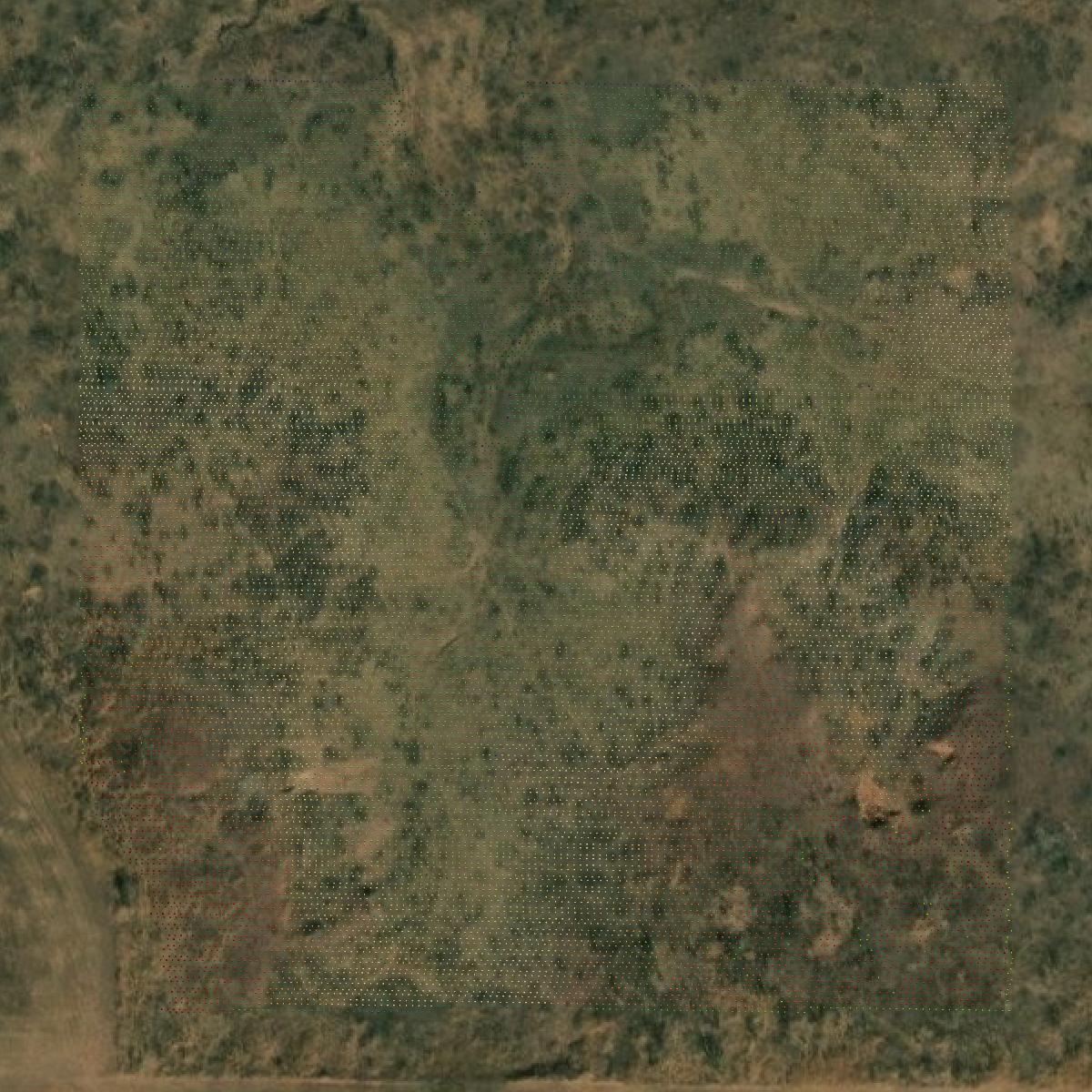 This image shows a LiDAR point cloud in Tillman County created using GIS data in Equator.