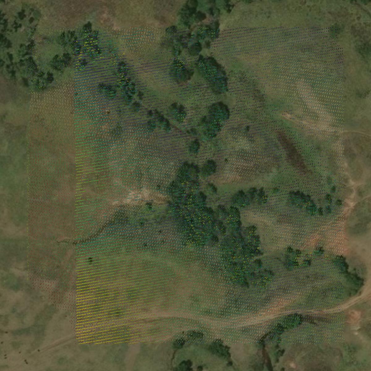 This image shows a LiDAR point cloud in Woods County created using GIS data in Equator.
