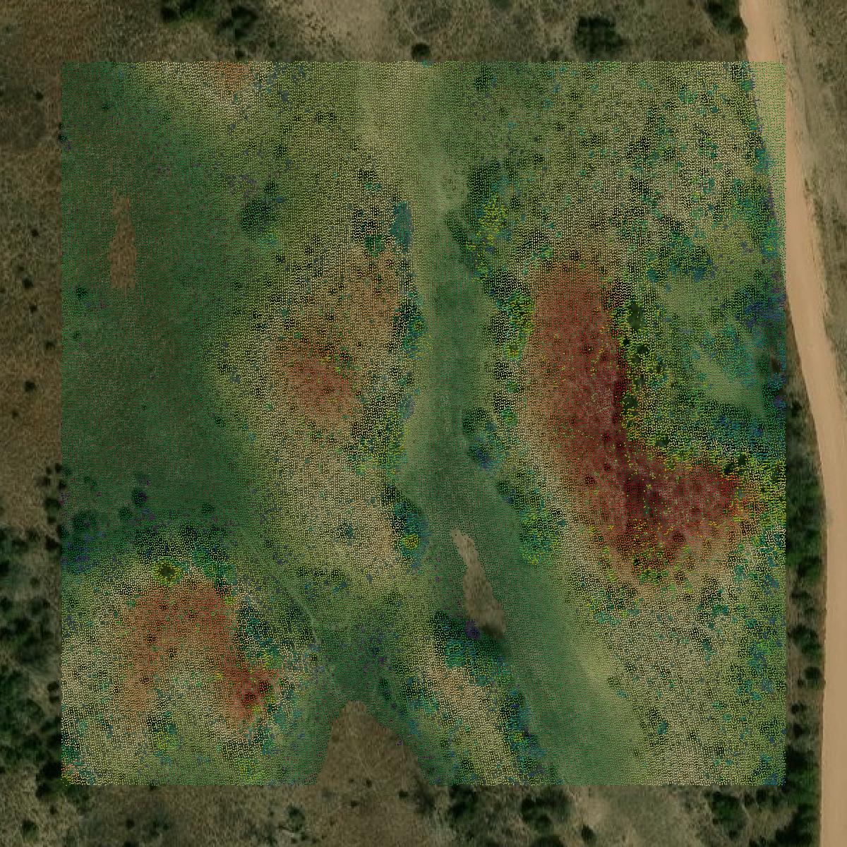 This image shows a LiDAR point cloud in Woodward County created using GIS data in Equator.