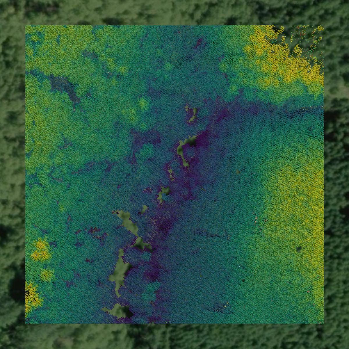 This image shows a LiDAR point cloud in Benton County created using GIS data in Equator.