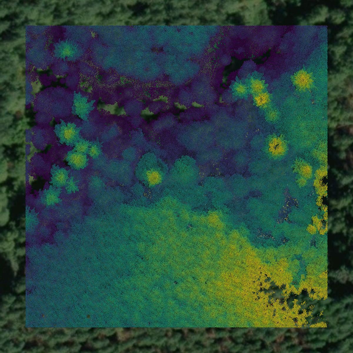 This image shows a LiDAR point cloud in Benton County created using GIS data in Equator.