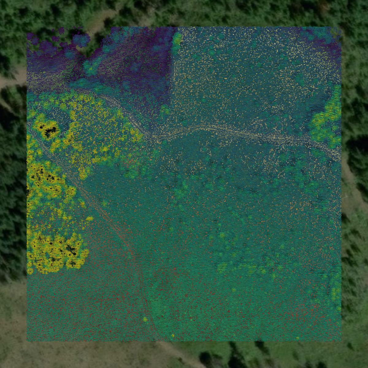 This image shows a LiDAR point cloud in Clackamas County created using GIS data in Equator.