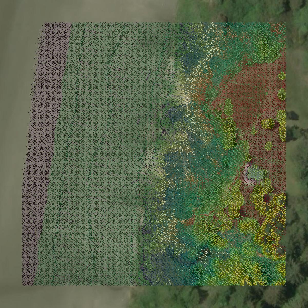 This image shows a LiDAR point cloud in Coos County created using GIS data in Equator.