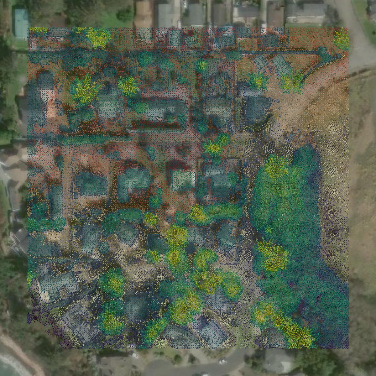 This image shows a LiDAR point cloud in Curry County created using GIS data in Equator.