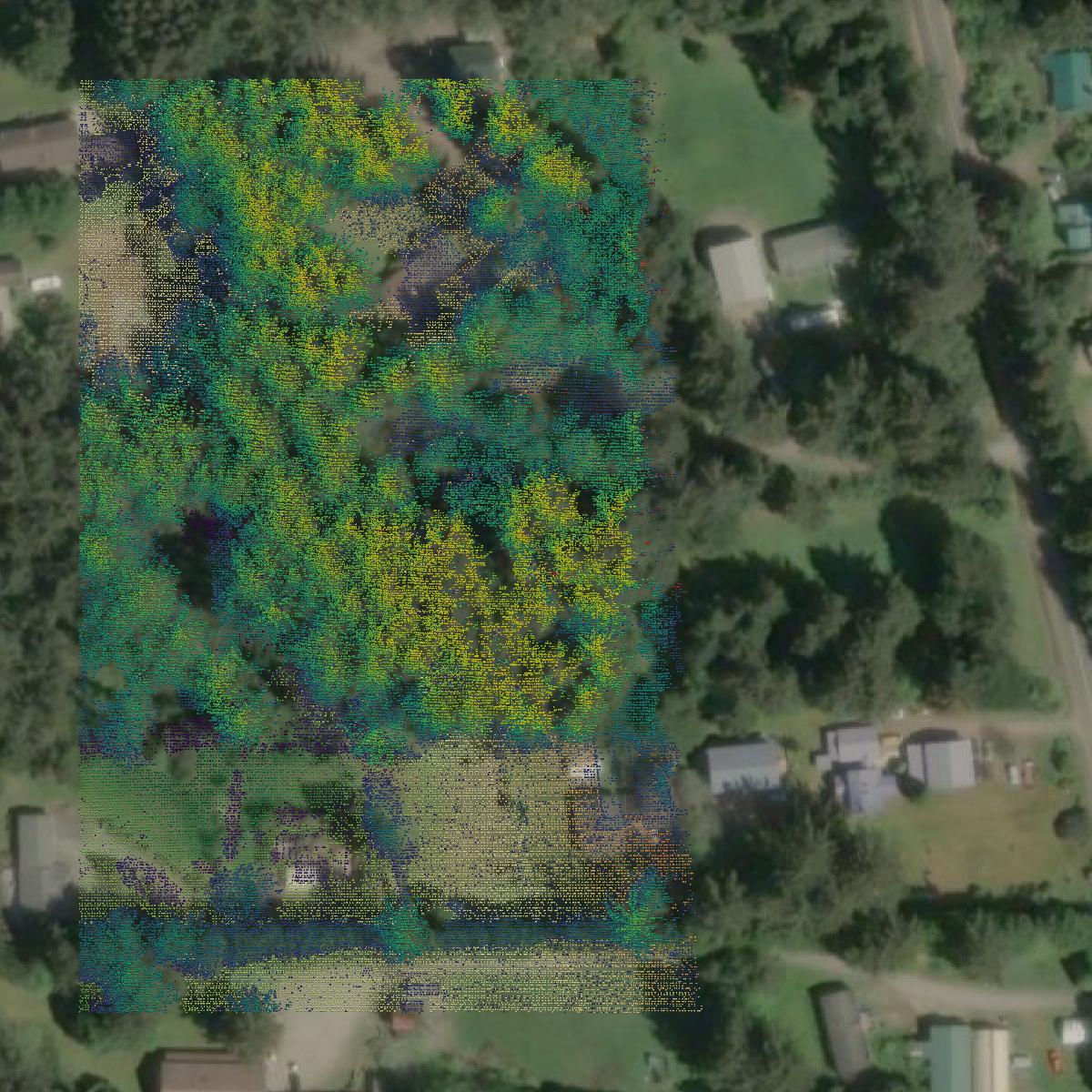 This image shows a LiDAR point cloud in Curry County created using GIS data in Equator.