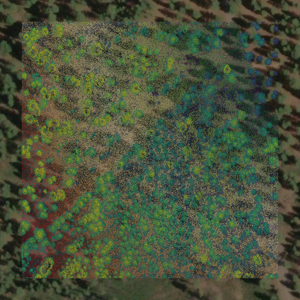 This image shows a LiDAR point cloud in Deschutes County created using GIS data in Equator.