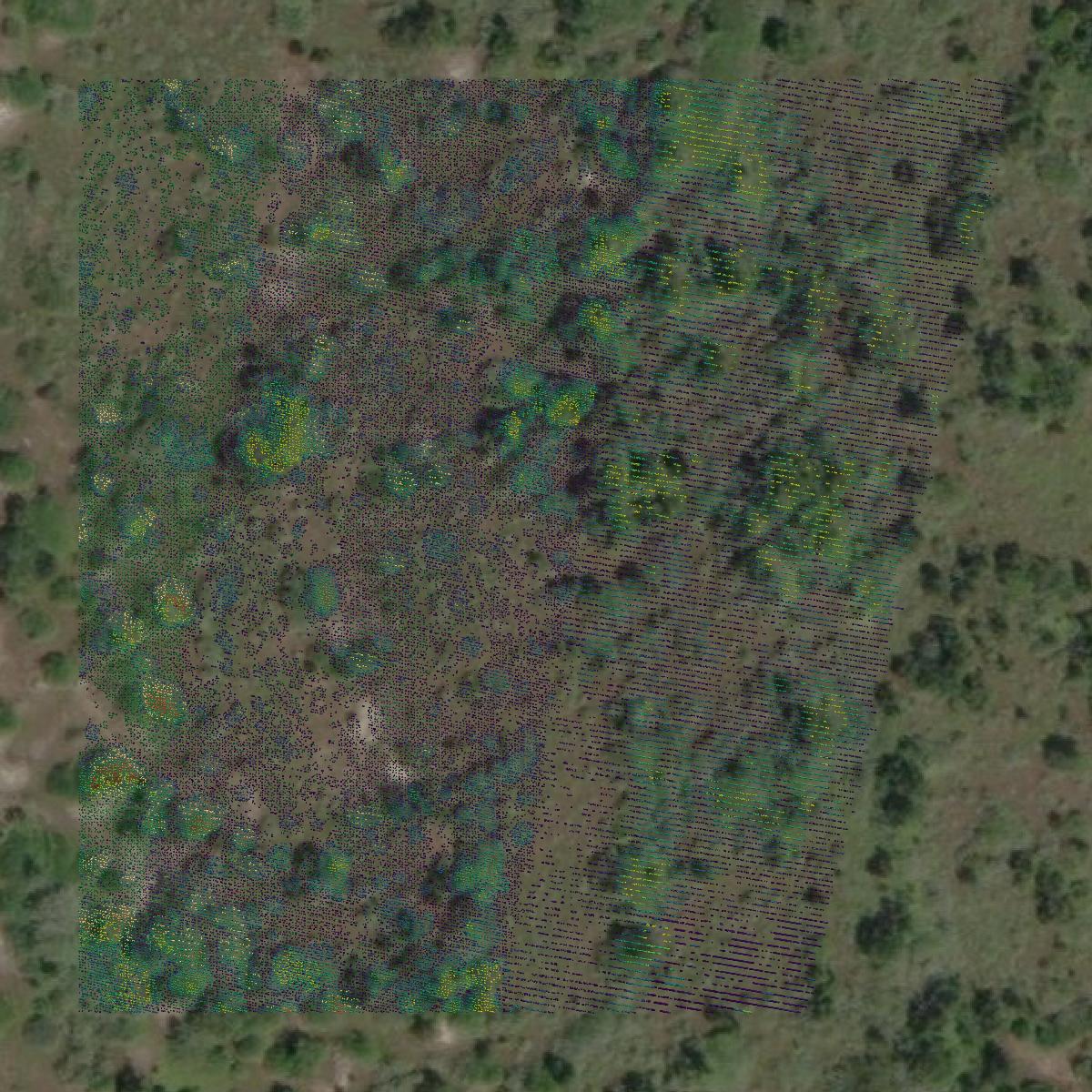 This image shows a LiDAR point cloud in Douglas County created using GIS data in Equator.
