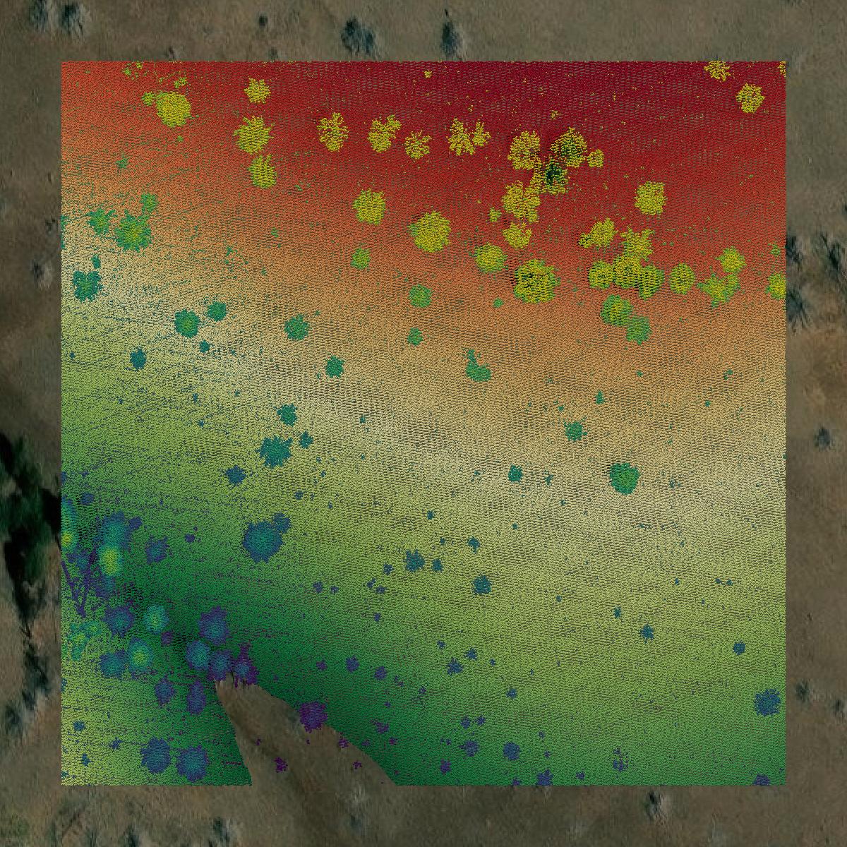 This image shows a LiDAR point cloud in Grant County created using GIS data in Equator.