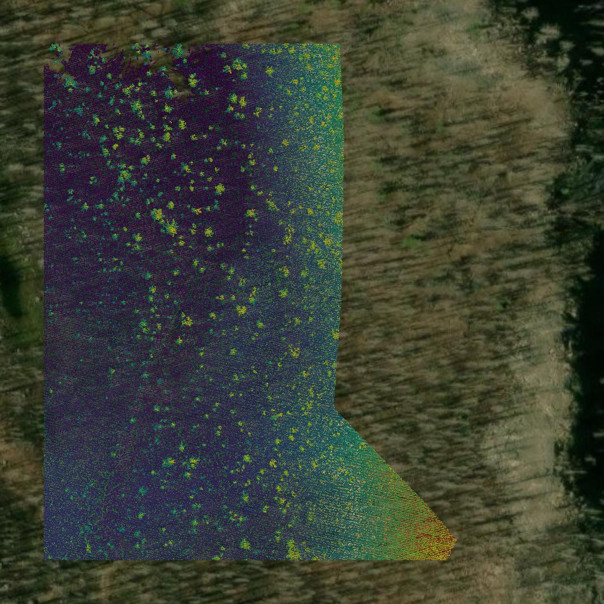 This image shows a LiDAR point cloud in Jefferson County created using GIS data in Equator.