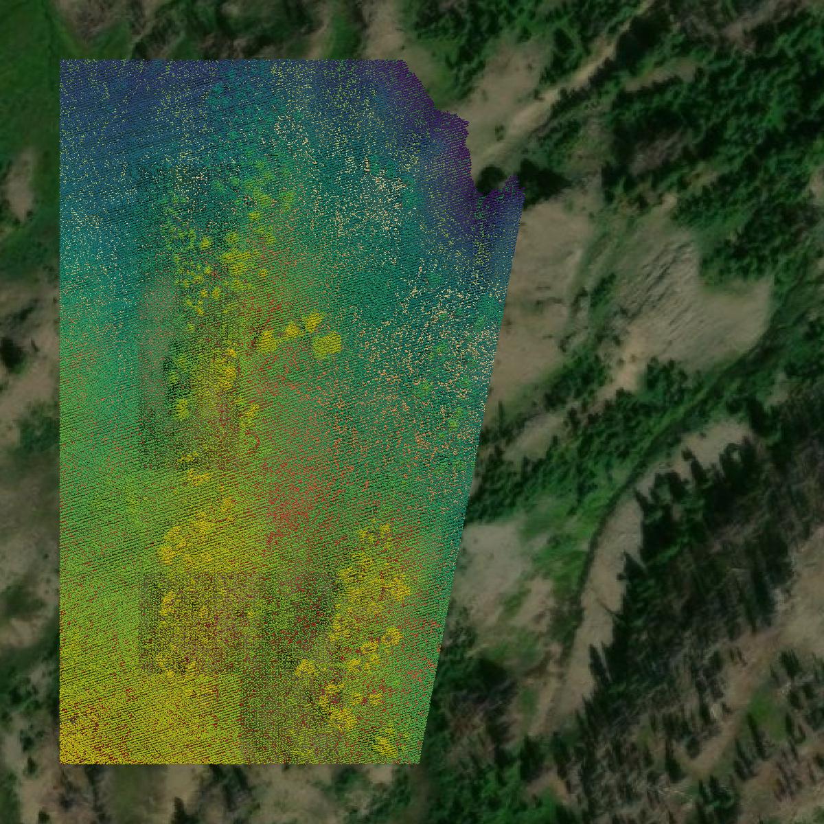 This image shows a LiDAR point cloud in Jefferson County created using GIS data in Equator.