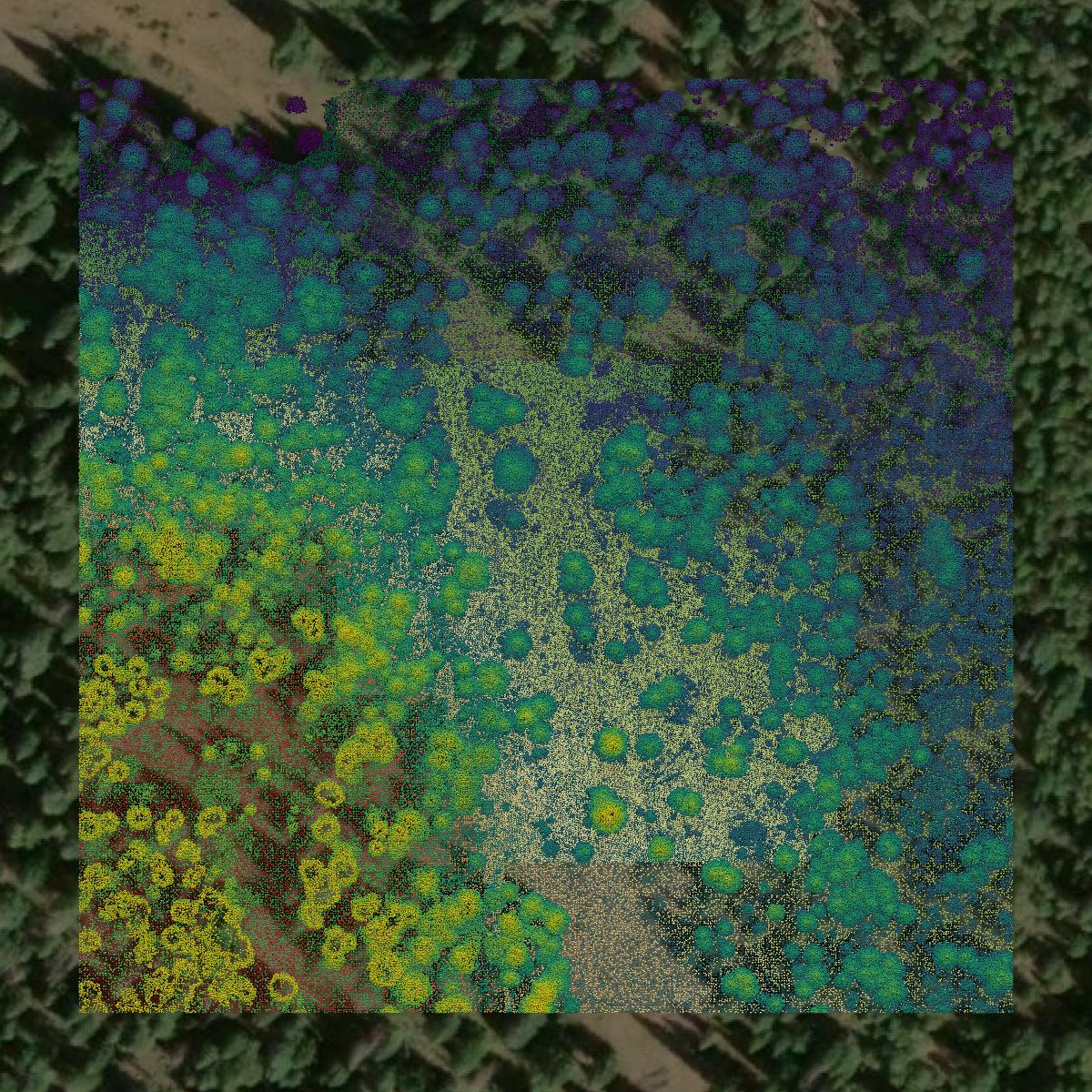 This image shows a LiDAR point cloud in Klamath County created using GIS data in Equator.