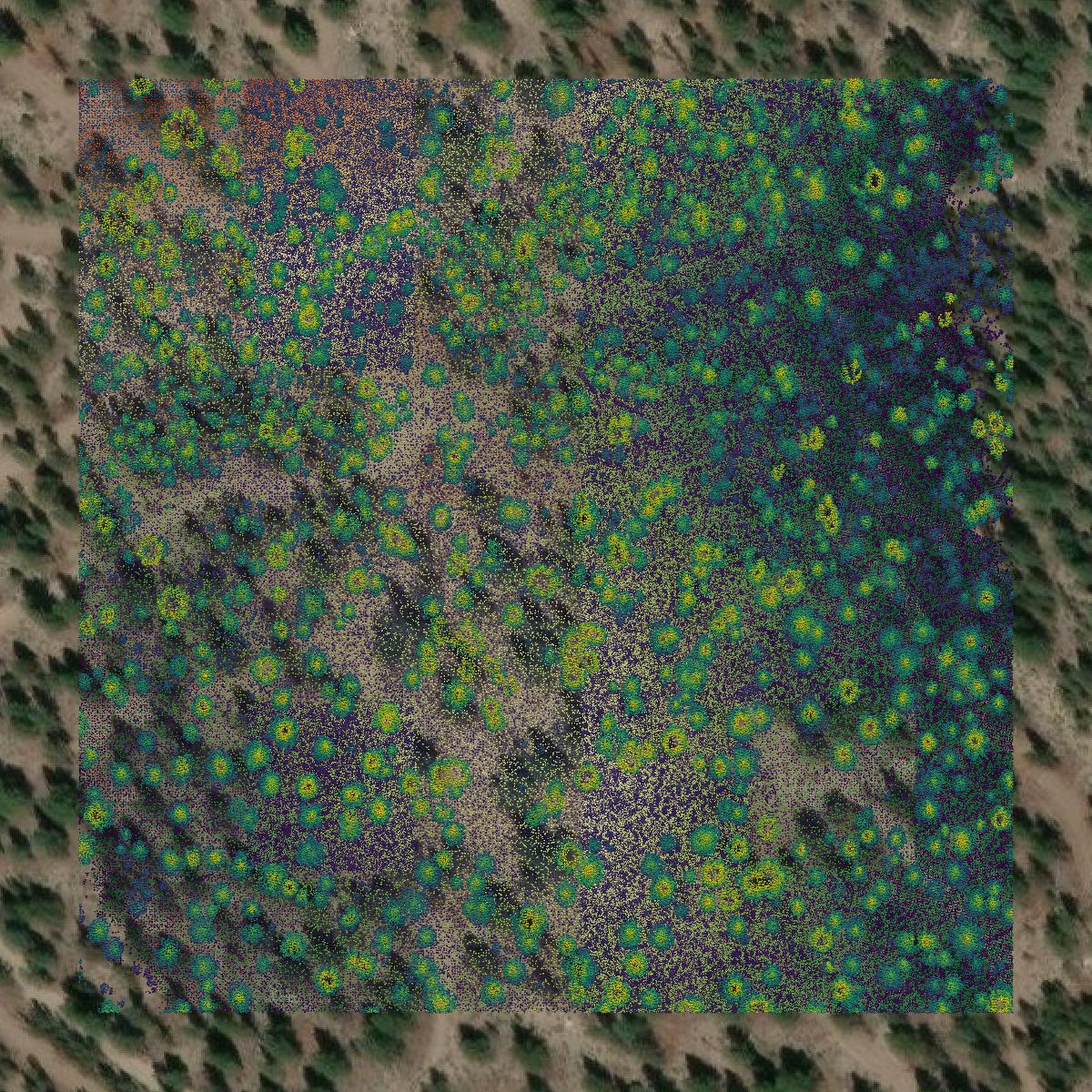 This image shows a LiDAR point cloud in Klamath County created using GIS data in Equator.