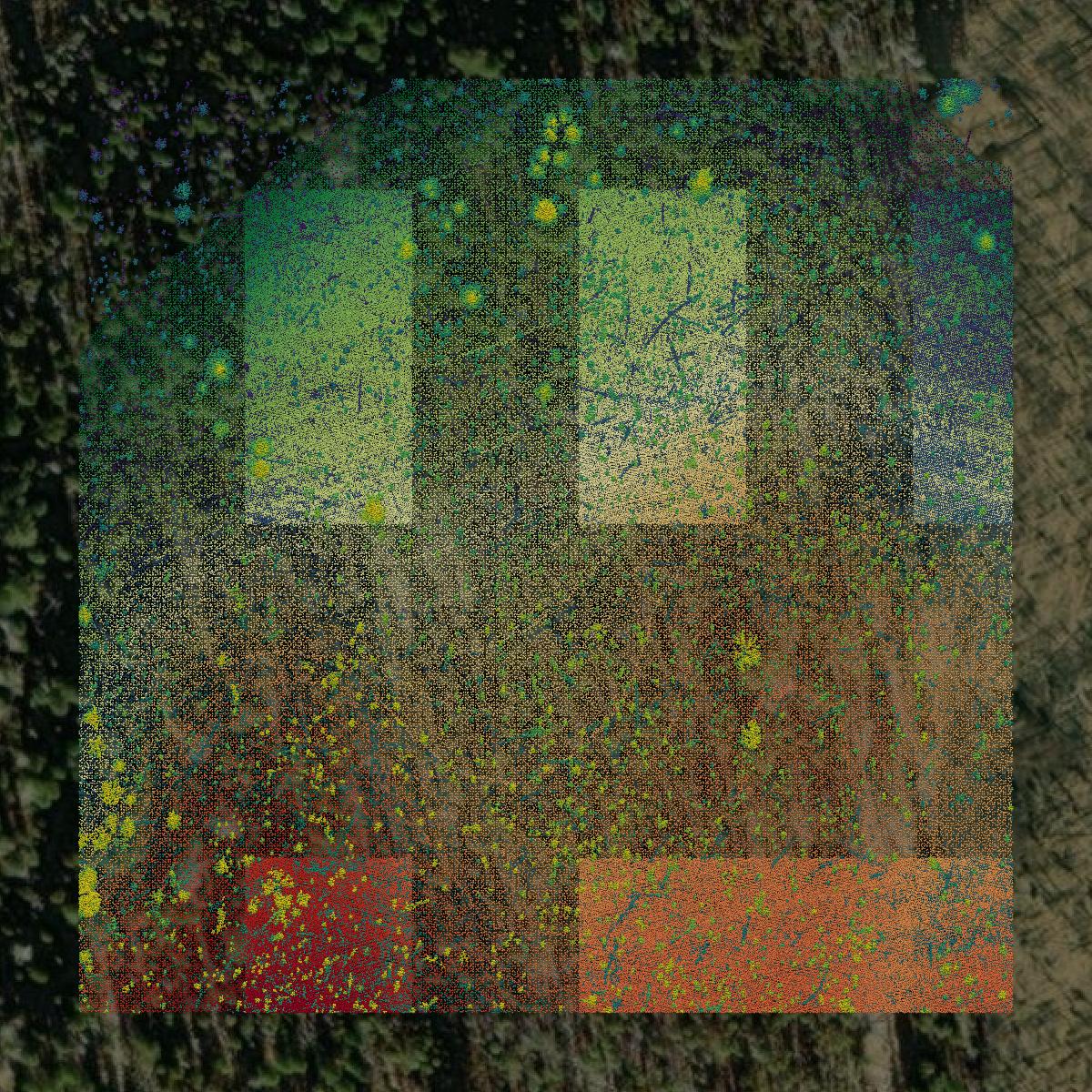 This image shows a LiDAR point cloud in Lake County created using GIS data in Equator.