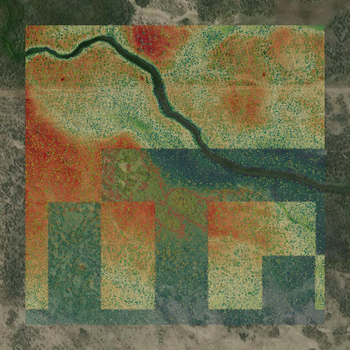 This image shows a LiDAR point cloud in Lake County created using GIS data in Equator.