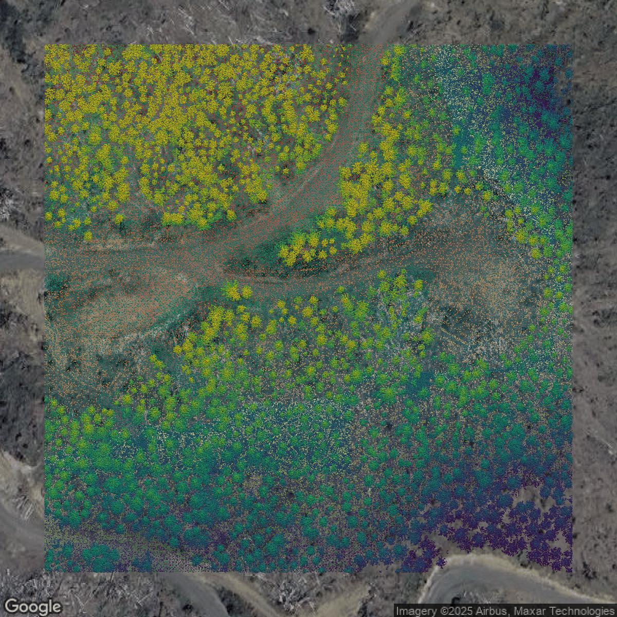 This image shows a LiDAR point cloud in Lane County created using GIS data in Equator.