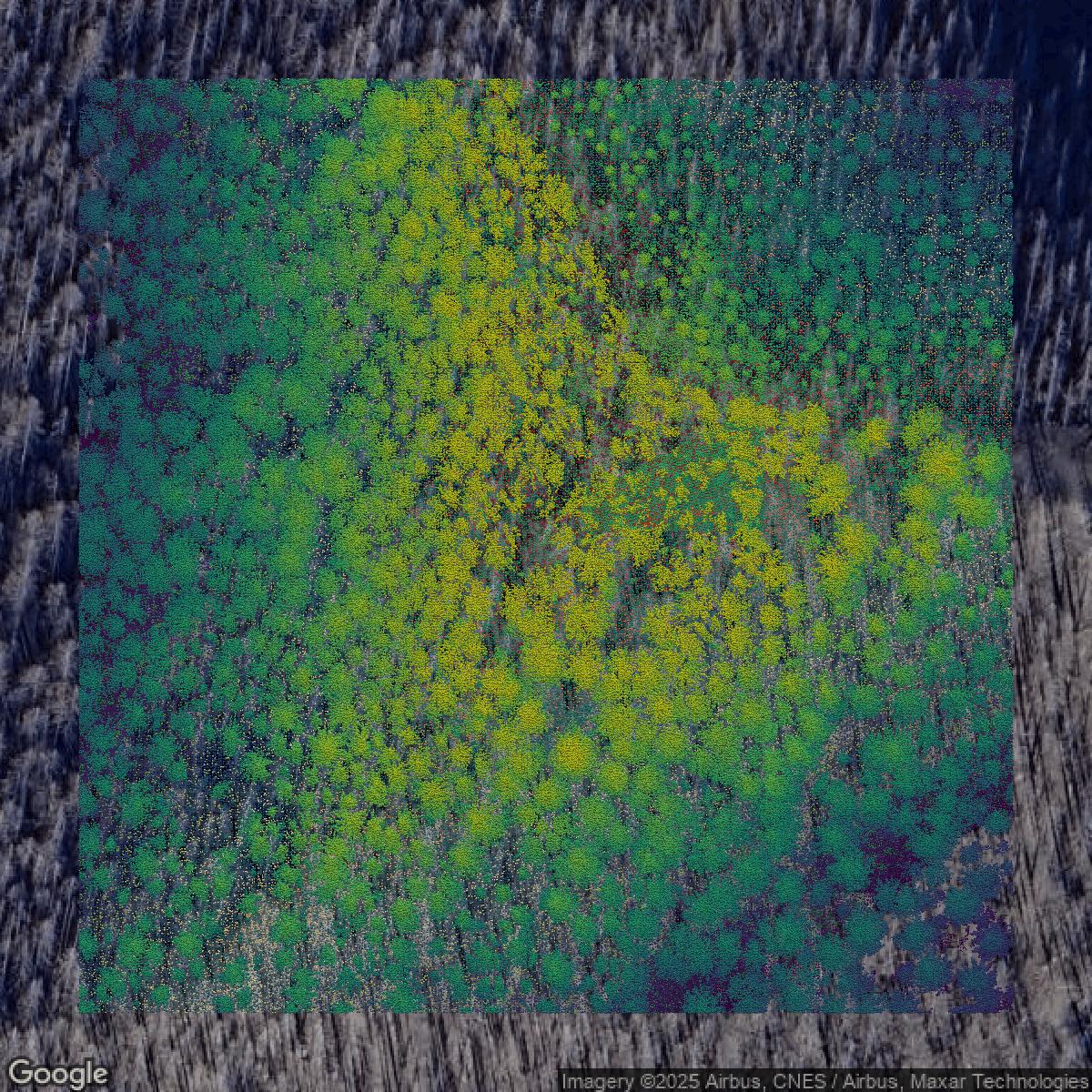 This image shows a LiDAR point cloud in Lane County created using GIS data in Equator.