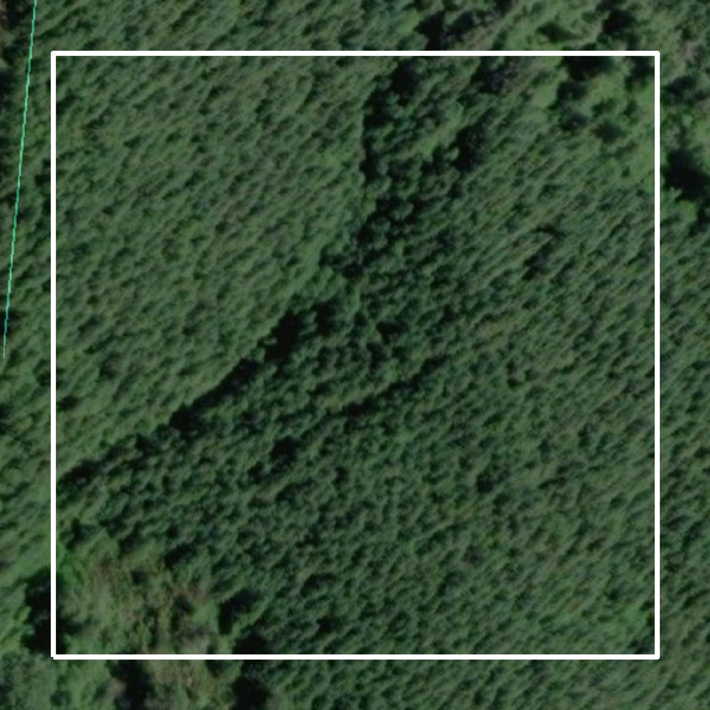 This image shows parcel and building data in Lincoln County created using GIS data in Equator.