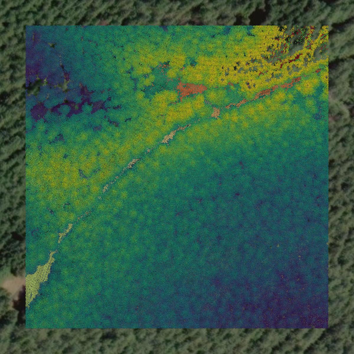 This image shows a LiDAR point cloud in Lincoln County created using GIS data in Equator.