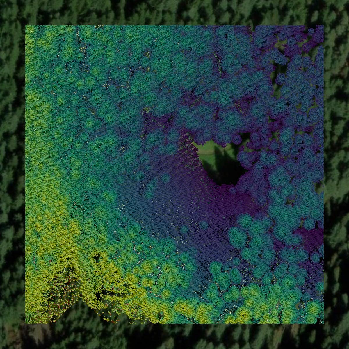 This image shows a LiDAR point cloud in Linn County created using GIS data in Equator.