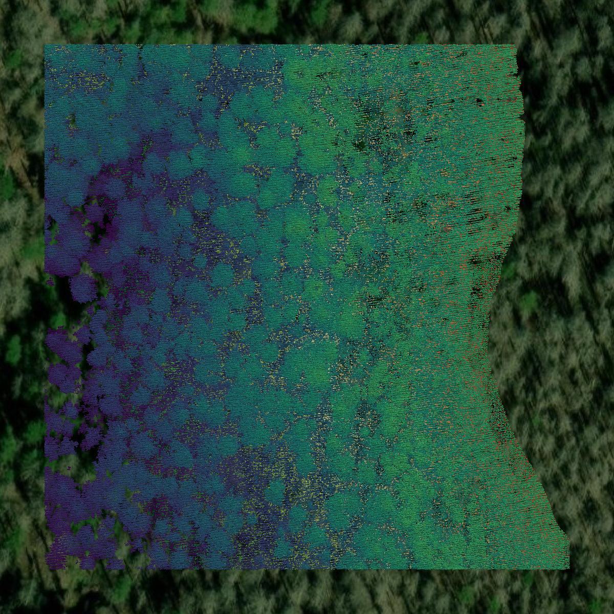 This image shows a LiDAR point cloud in Marion County created using GIS data in Equator.