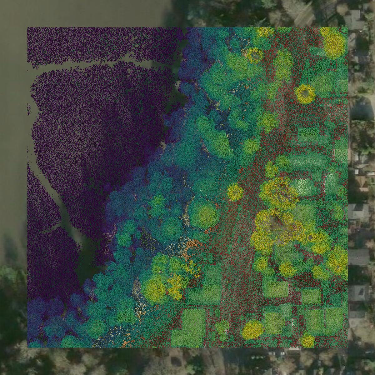This image shows a LiDAR point cloud in Multnomah County created using GIS data in Equator.