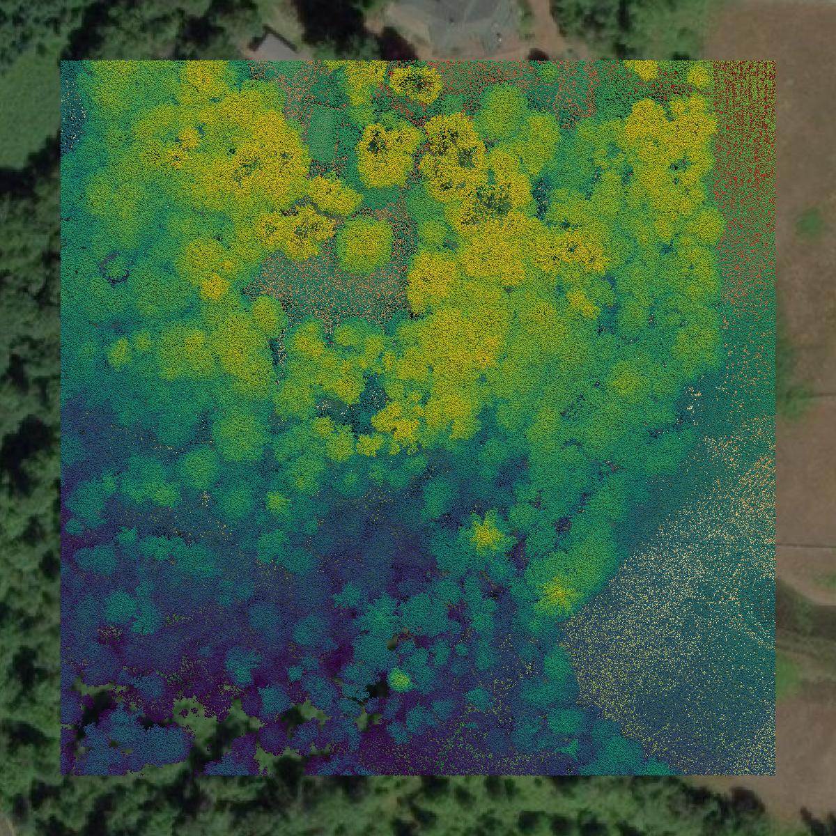 This image shows a LiDAR point cloud in Multnomah County created using GIS data in Equator.