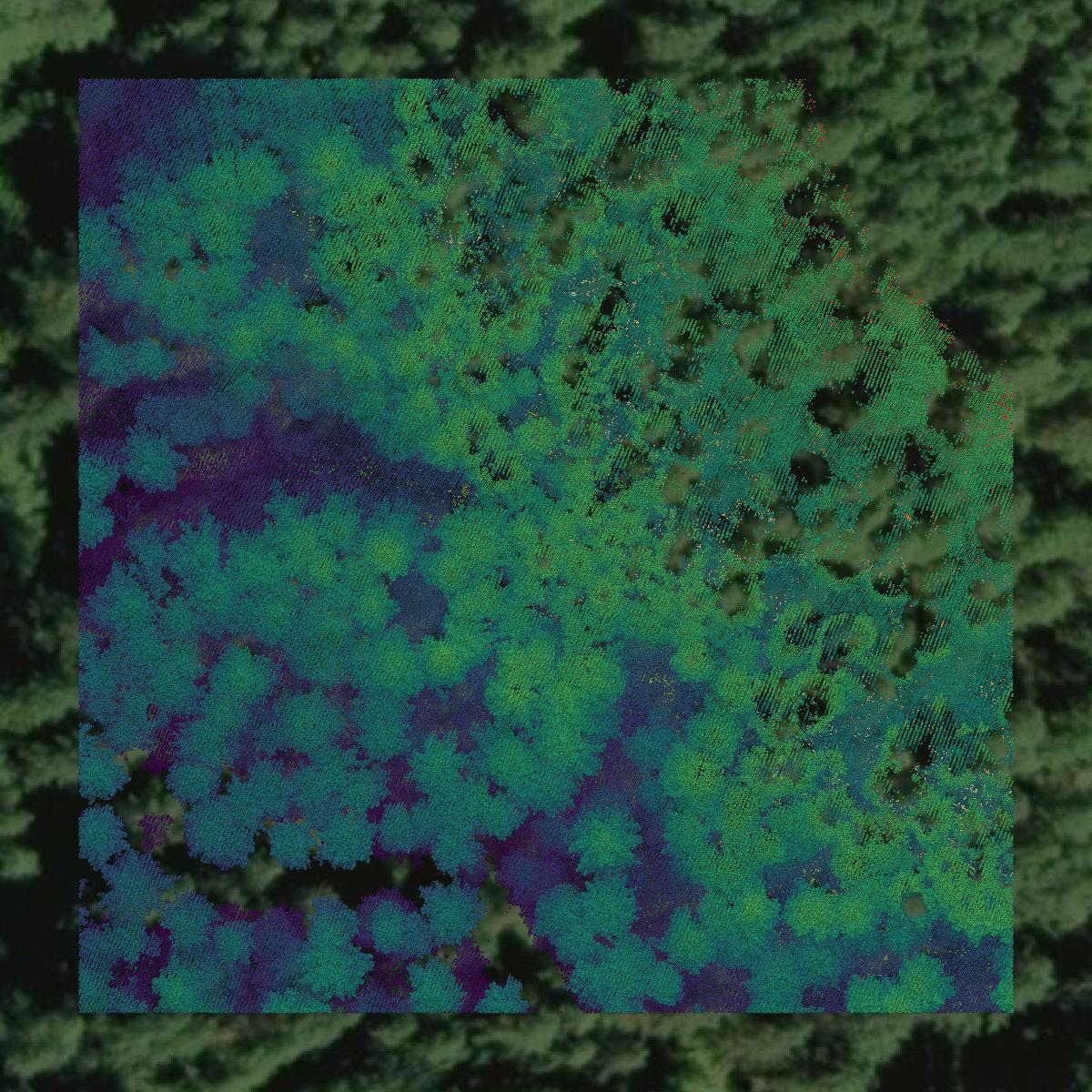 This image shows a LiDAR point cloud in Polk County created using GIS data in Equator.