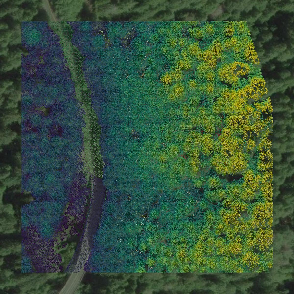This image shows a LiDAR point cloud in Tillamook County created using GIS data in Equator.