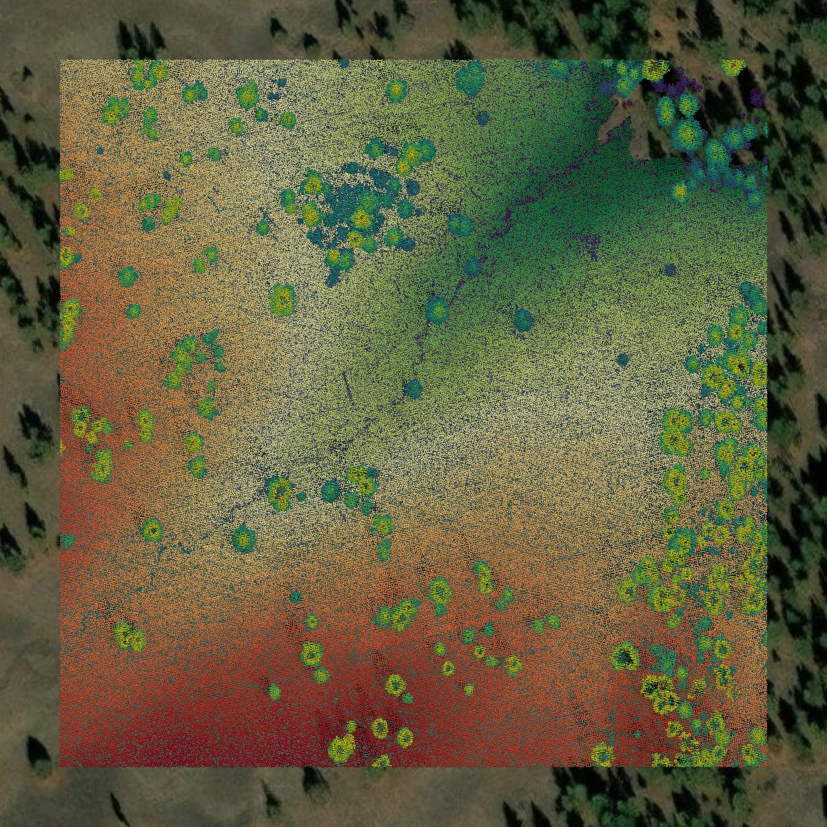 This image shows a LiDAR point cloud in Union County created using GIS data in Equator.