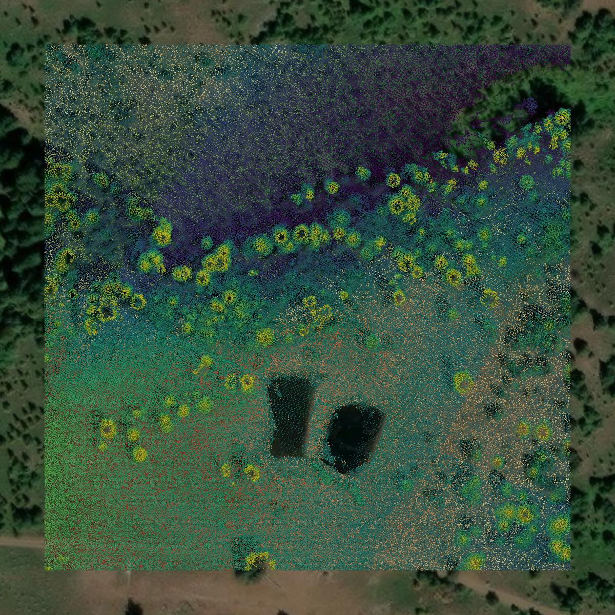 This image shows a LiDAR point cloud in Union County created using GIS data in Equator.