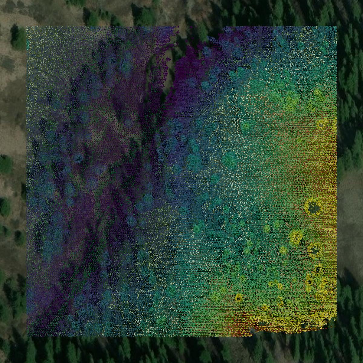 This image shows a LiDAR point cloud in Wallowa County created using GIS data in Equator.