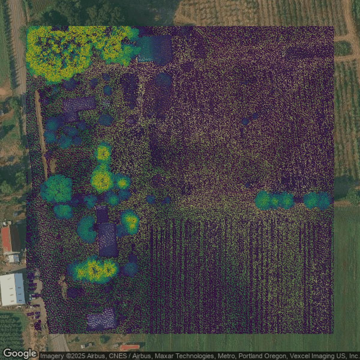 This image shows a LiDAR point cloud in Washington County created using GIS data in Equator.
