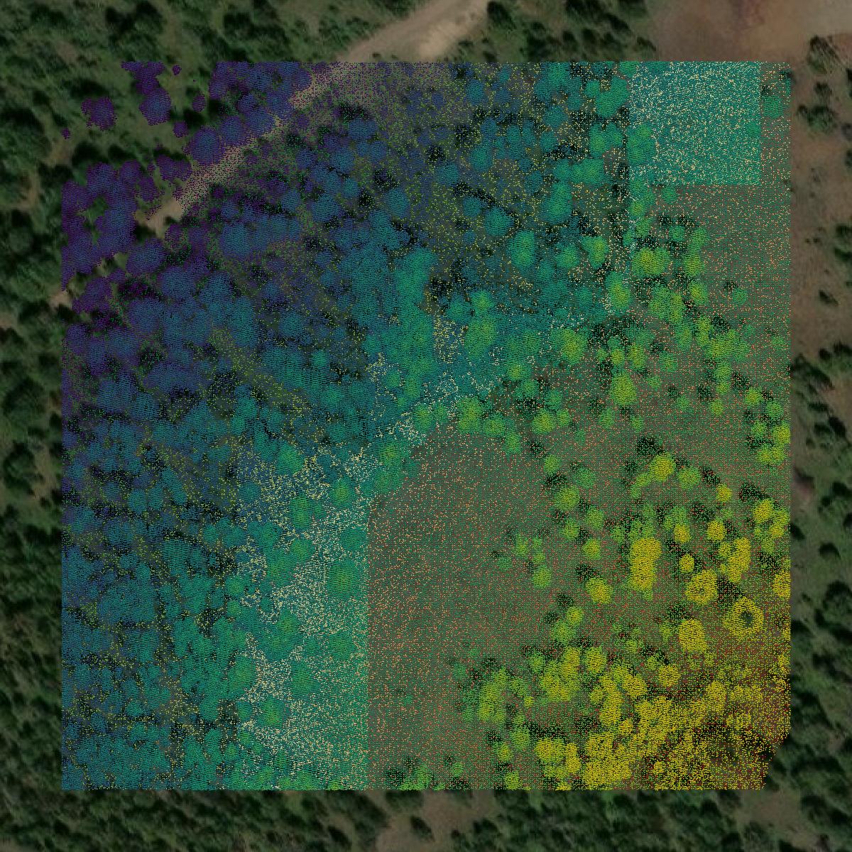 This image shows a LiDAR point cloud in Wheeler County created using GIS data in Equator.